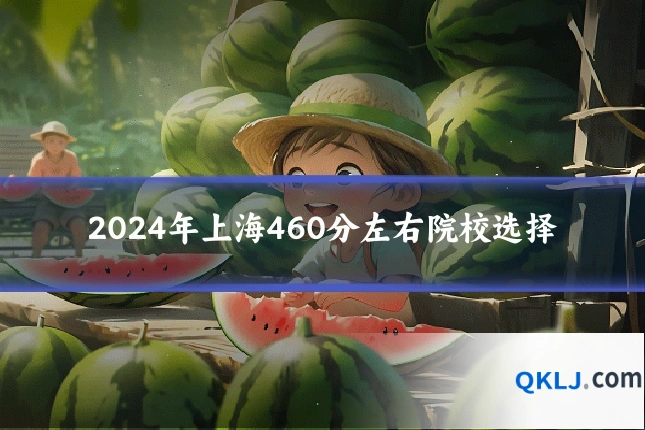 2024年上海460分左右院校选择