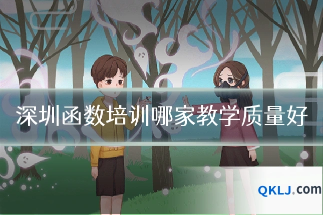 深圳函数培训哪家教学质量好
