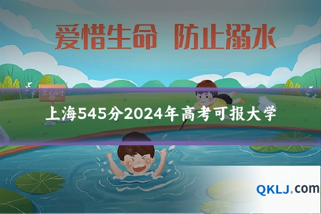 上海545分2024年高考可报大学