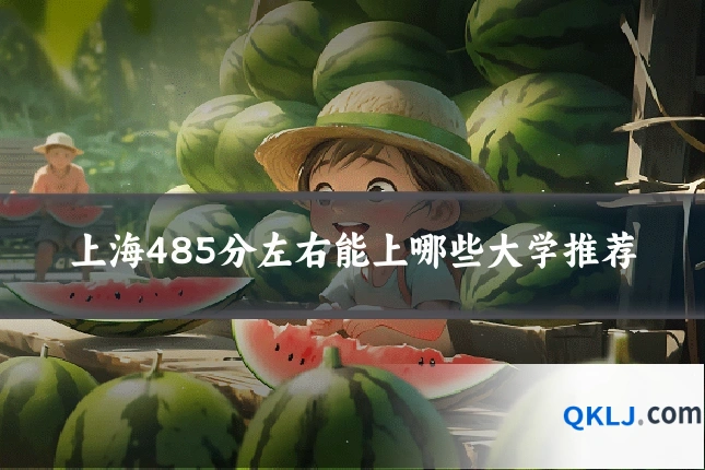 上海485分左右能上哪些大学推荐