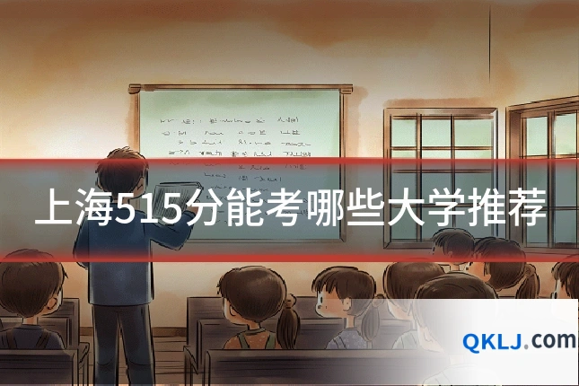 上海515分能考哪些大学推荐