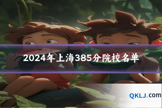 2024年上海385分院校名单
