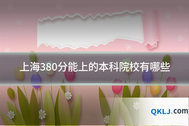 上海380分能上的本科院校有哪些