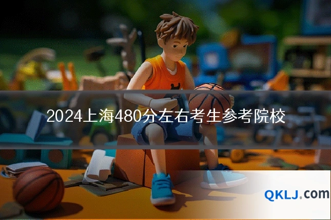 2024上海480分左右考生参考院校