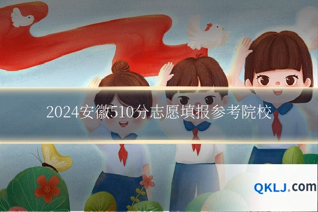 2024安徽510分志愿填报参考院校