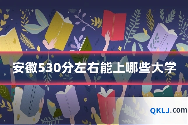 安徽530分左右能上哪些大学