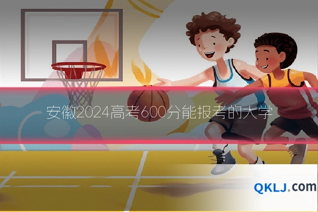 安徽2024高考600分能报考的大学