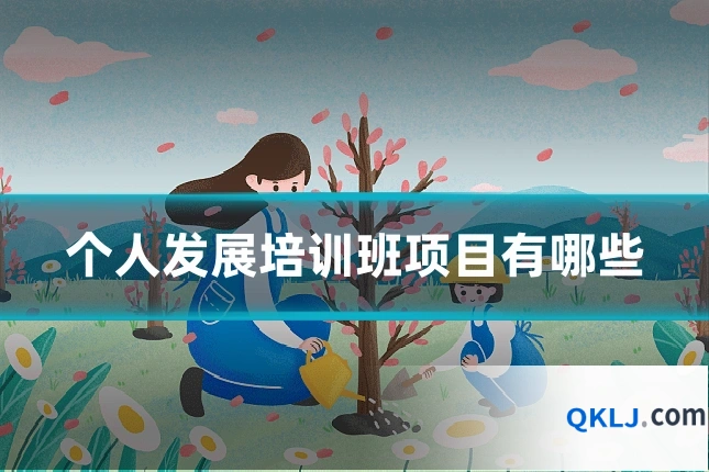 个人发展培训班项目有哪些