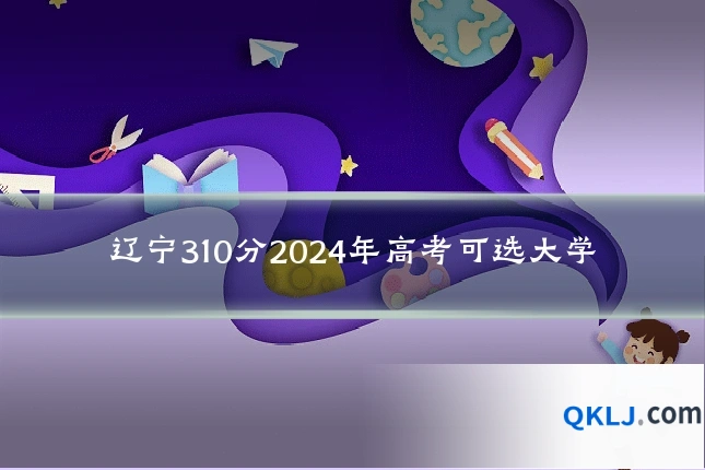 辽宁310分2024年高考可选大学