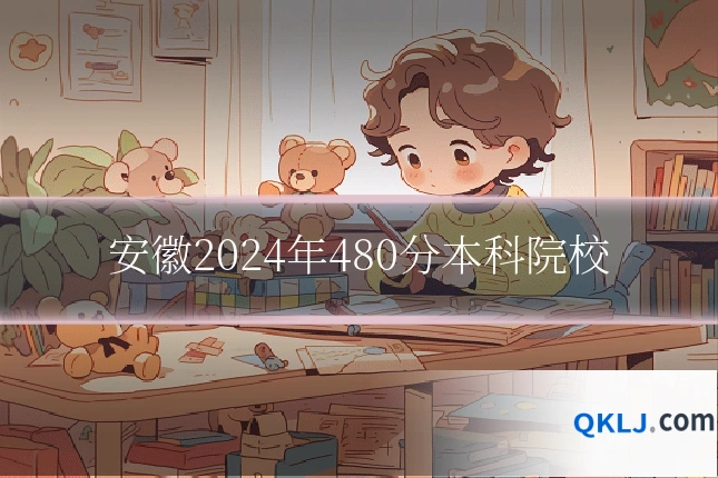 安徽2024年480分本科院校