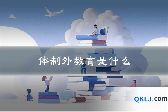 体制外教育是什么