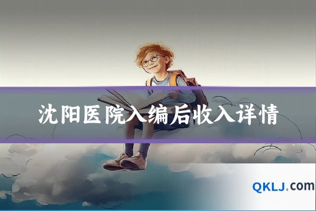 沈阳医院入编后收入详情