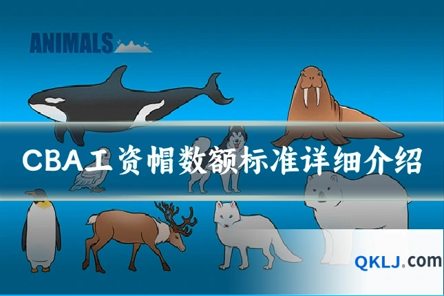 CBA工资帽数额标准详细介绍
