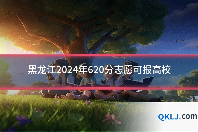黑龙江2024年620分志愿可报高校