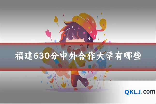 福建630分中外合作大学有哪些
