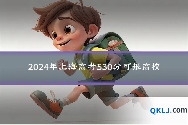 2024年上海高考530分可报高校