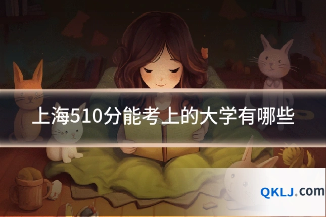 上海510分能考上的大学有哪些