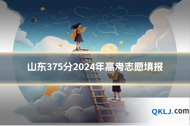 山东375分2024年高考志愿填报