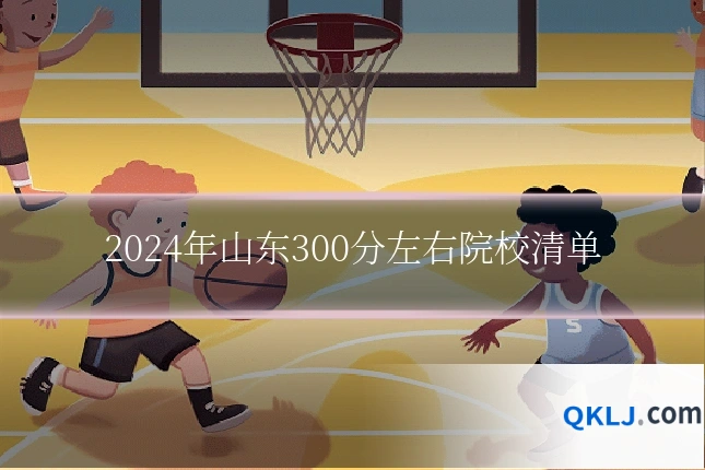 2024年山东300分左右院校清单