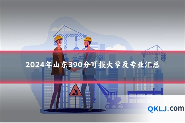2024年山东390分可报大学及专业汇总