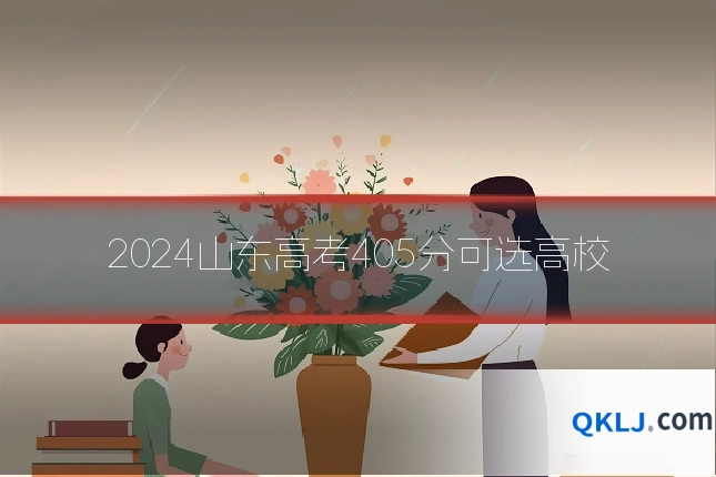 2024山东高考405分可选高校