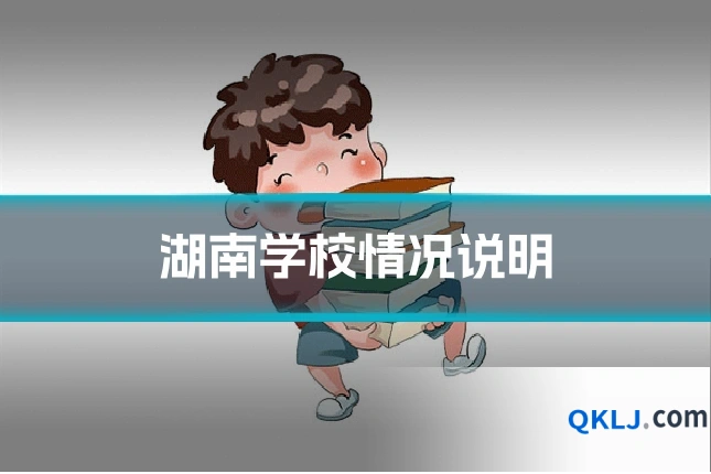 湖南学校情况说明