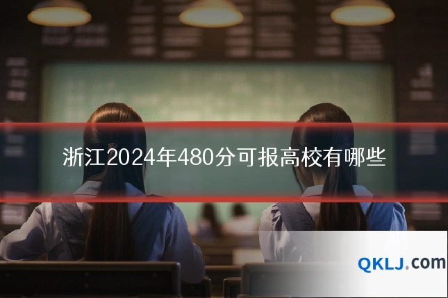 浙江2024年480分可报高校有哪些