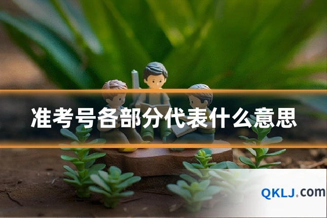 准考号各部分代表什么意思