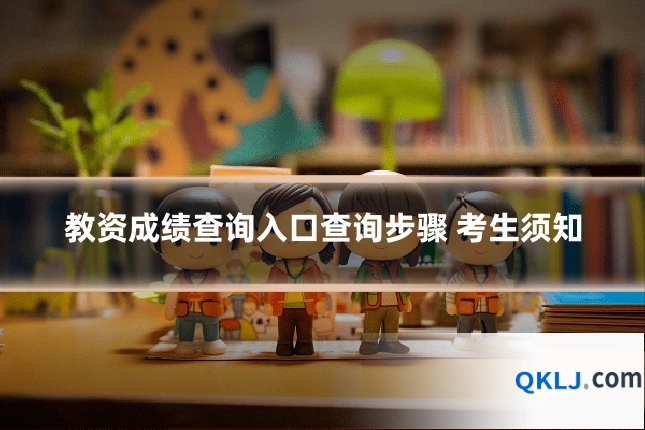 教资成绩查询入口查询步骤 考生须知