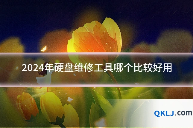 2024年硬盘维修工具哪个比较好用