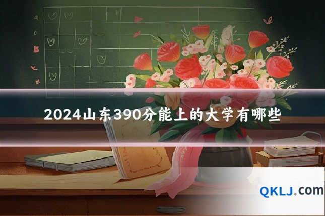 2024山东390分能上的大学有哪些