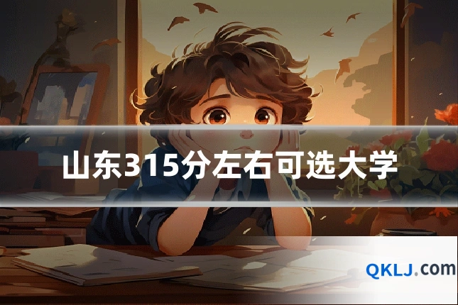 山东315分左右可选大学