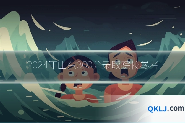 2024年山东300分录取院校参考