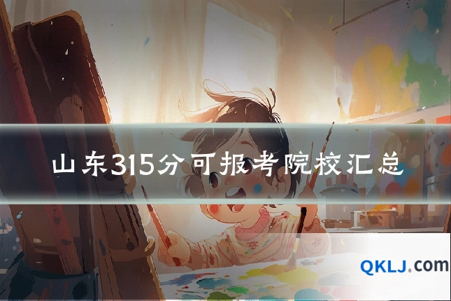 山东315分可报考院校汇总