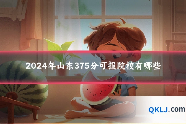 2024年山东375分可报院校有哪些