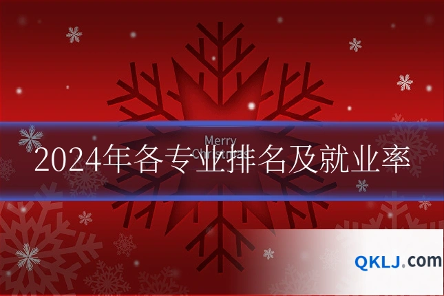 2024年各专业排名及就业率