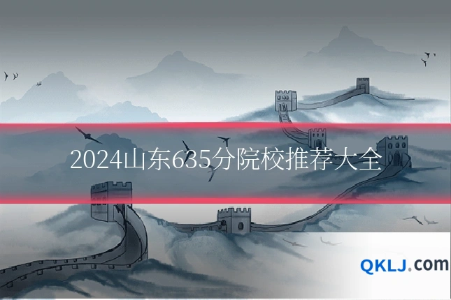 2024山东635分院校推荐大全