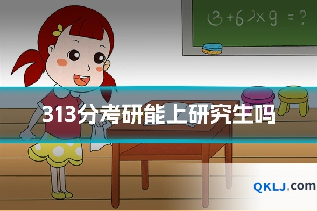 313分考研能上研究生吗