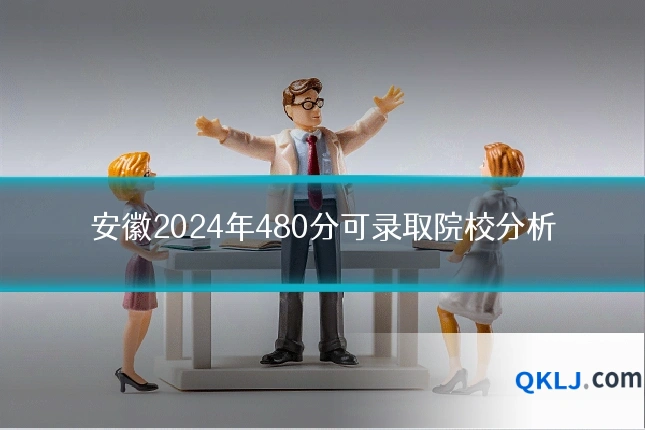 安徽2024年480分可录取院校分析