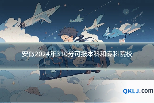 安徽2024年310分可报本科和专科院校