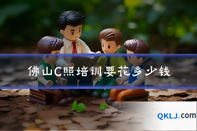 佛山C照培训要花多少钱