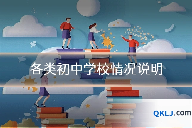 各类初中学校情况说明