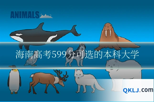 海南高考599分可选的本科大学