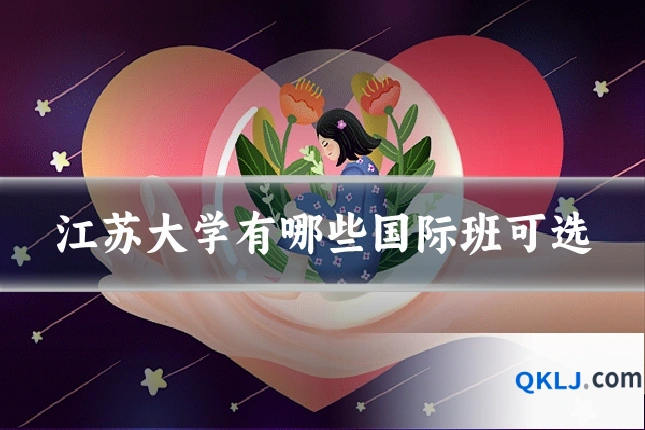 江苏大学有哪些国际班可选