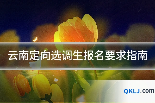 云南定向选调生报名要求指南