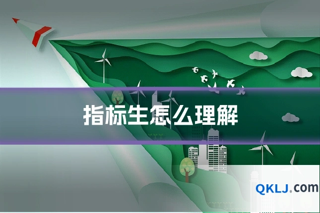 指标生怎么理解