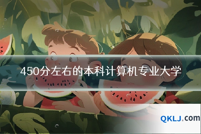 450分左右的本科计算机专业大学