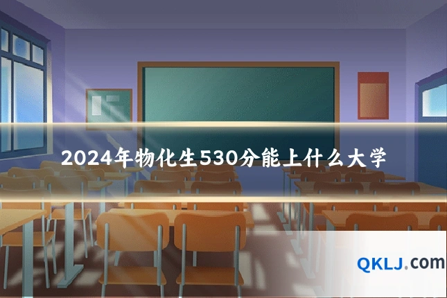 2024年物化生530分能上什么大学