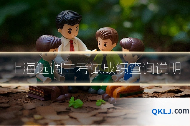 上海选调生考试成绩查询说明