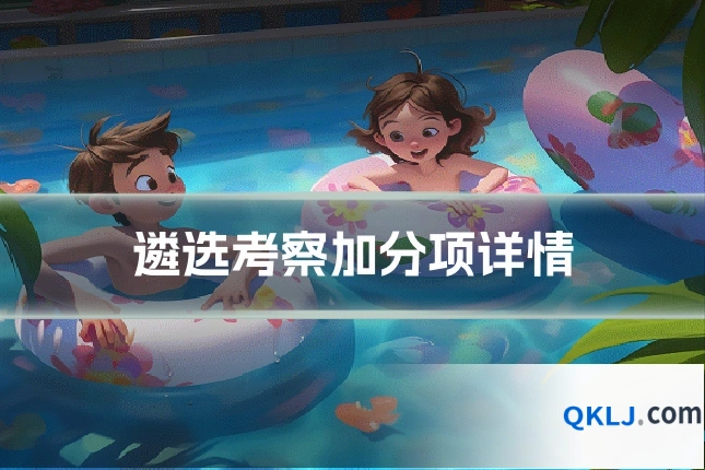遴选考察加分项详情